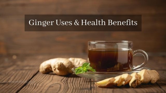 Ginger Uses & Health Benefits